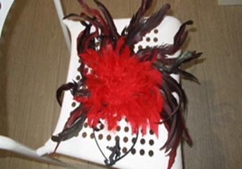 Diadeem met pluimen