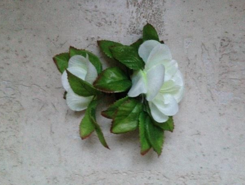 Witte haarbloemen haartooi